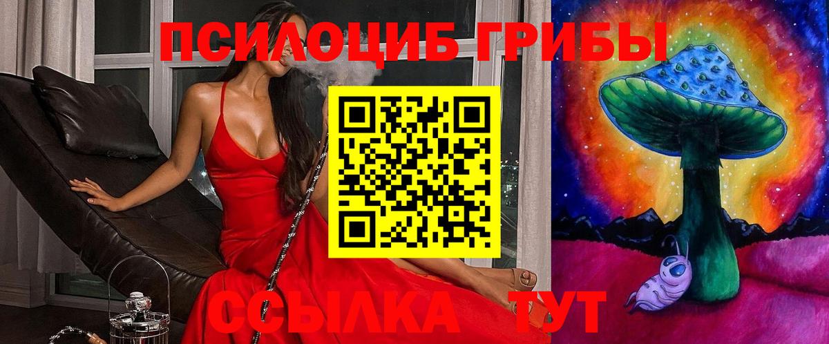 Псилоцибиновые грибы Magic Shrooms Черногорск