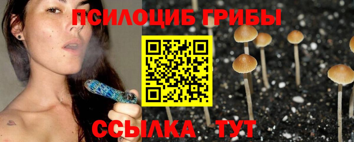 как найти закладки  Галлюциногенные грибы MAGIC MUSHROOMS  Вход с VPN  Черногорск 